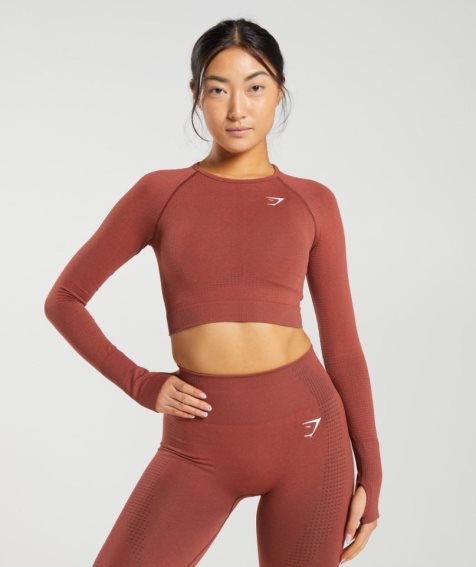 Przycięte Topy Gymshark Vital Seamless 2.0 Damskie Brązowe | PL 960KQZ